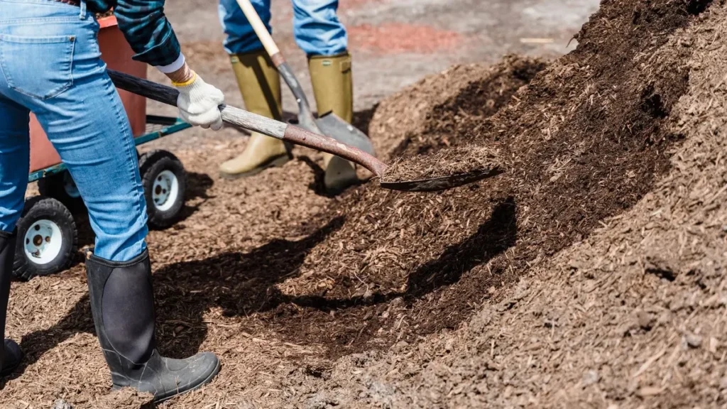 Workers moving a cubic yard of soil