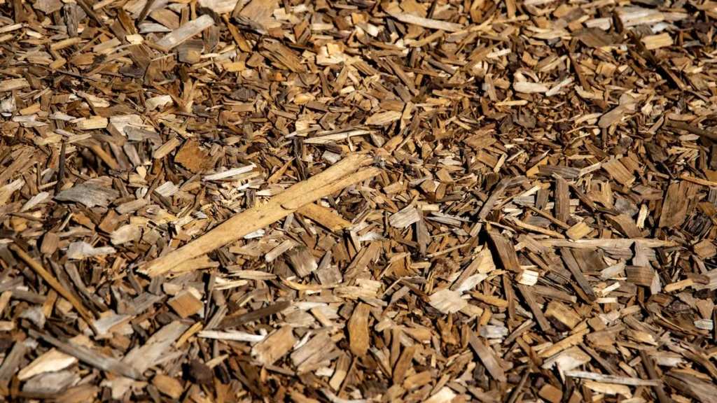 Close-up of shredded wood mulch chips